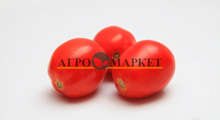 Томат МОНТИ F1 / MONTI F1 Seminis  фото 2