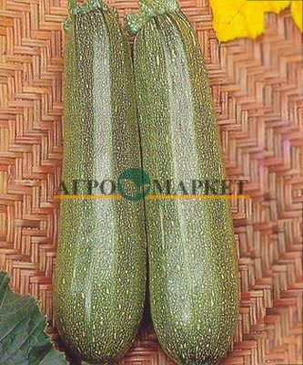 Кабачок ДИАМАНТ F1 / DIAMANT F1 Seminis 