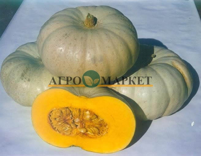 Тыква КРАУН ПРИНЦ F1 / KRAUN PRINTS F1 Sakata 