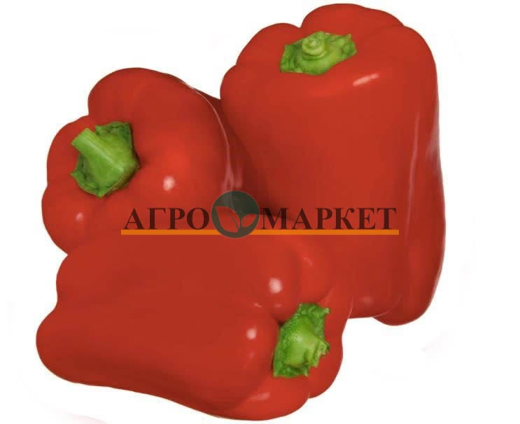 Перец сладкий САРНО F1 / SARNO F1 Sakata 
