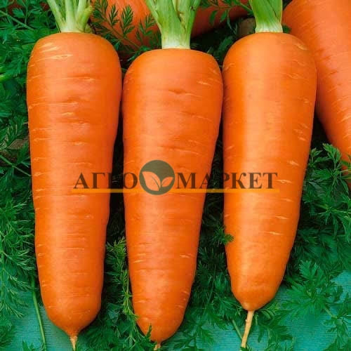 Морковь РЕД КОР / RED CORE Vilmorin 