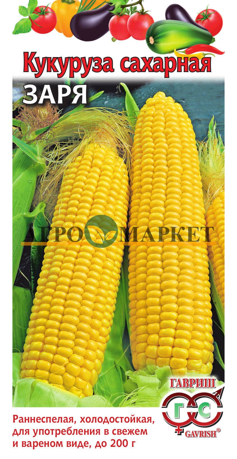 Кукуруза ЗАРЯ Гавриш 