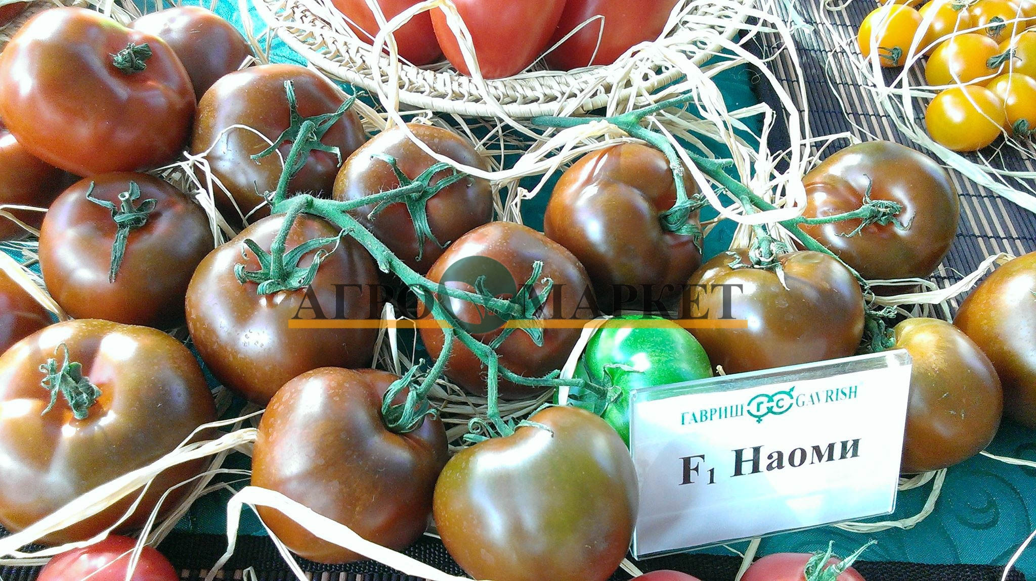 Томат НАОМИ F1 / NAOMI F1 Гавриш 