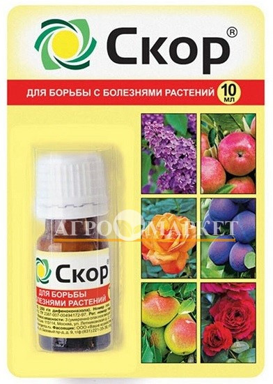 Фунгицид СКОР / SCOR Ваше хозяйство 