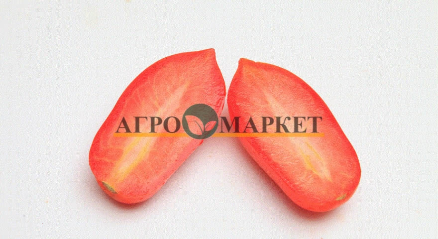 Томат ДОЧЕТ F1 / DOCHET F1 Seminis  фото 12