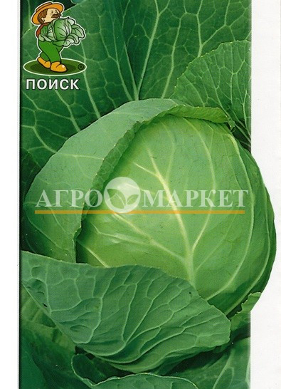 Капуста белокочанная СЛАВА 1305 Поиск 