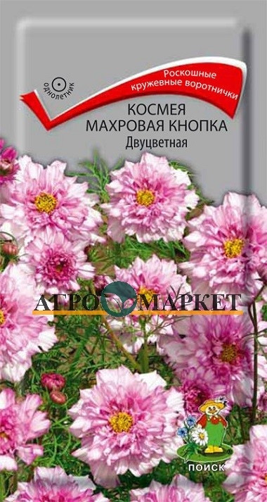 Однолетник Космея Махровая кнопка Двуцветная ЦВ Поиск 