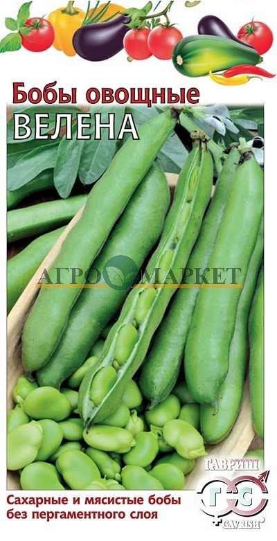 Бобы ВЕЛЕНА Гавриш 