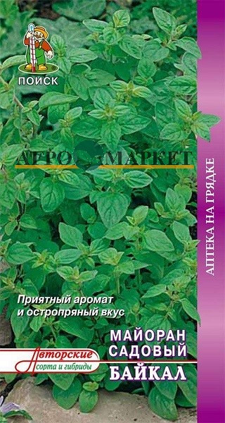 Майоран садовый БАЙКАЛ ЦВ Поиск 