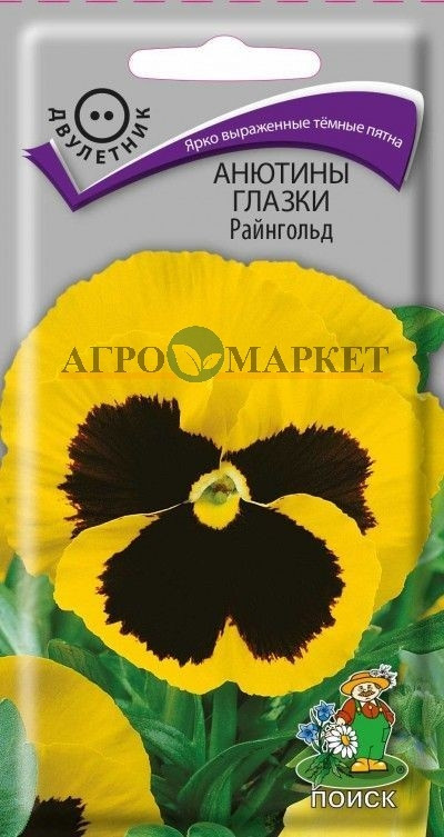 Двулетник Анютины глазки Райнгольд ЦВ Поиск 