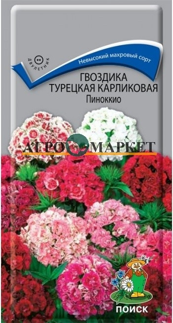 Двулетник Гвоздика Турецкая карликовая Пиноккио ЦВ Поиск 