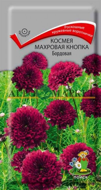 Однолетник Космея Махровая кнопка Бордовая ЦВ Поиск 