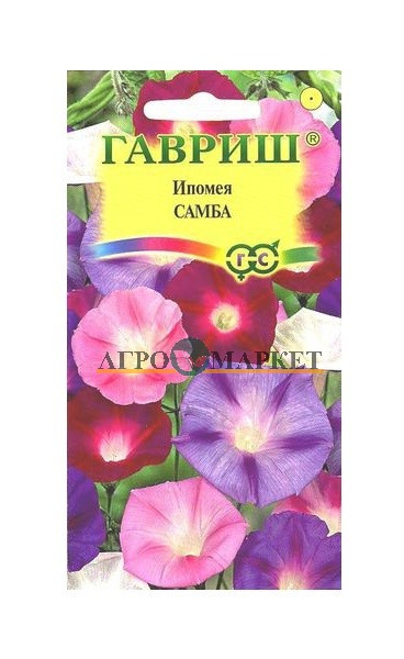 Однолетник Ипомея Самба Гавриш 