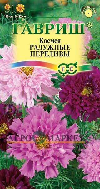 Однолетник Космея махровая Радужные переливы Гавриш 