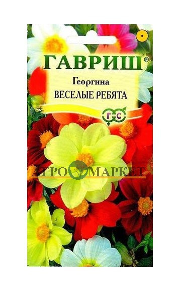 Однолетник Георгина Веселые ребята Гавриш 