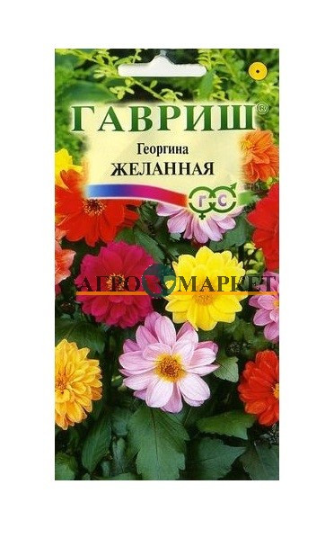 Однолетник Георгина Желанная Гавриш 