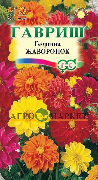 Однолетник Георгина Жаворонок Гавриш 