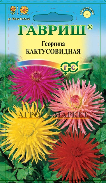 Однолетник Георгина Кактусовидная Гавриш 