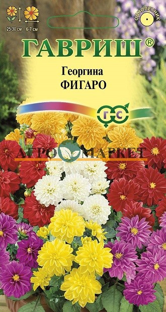 Однолетник Георгина Фигаро Гавриш 
