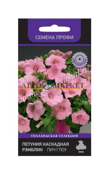 Однолетник Петуния каскадная Рэмблин Пич Глоу ЦВ Поиск 