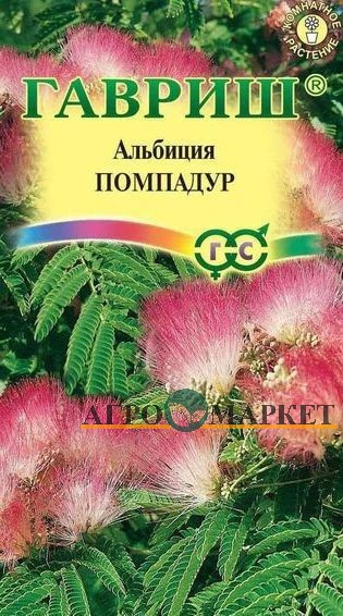 Комнатные Альбиция Помпадур Гавриш 