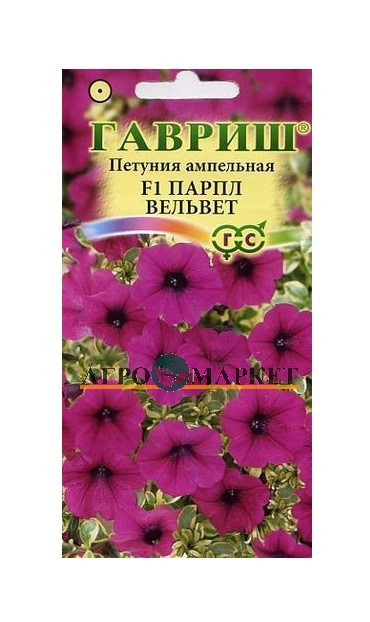 Однолетник Петуния Парпл Вельвет (Сурфиния) амп. Пробирка Гавриш 