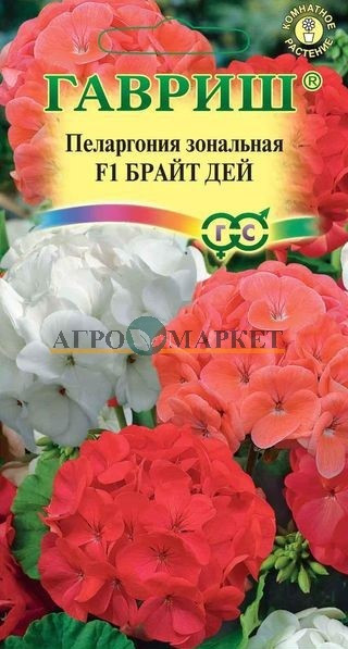 Комнатные Пеларгония Брайт дей F1 зональная Гавриш 