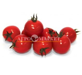 Томат КОНОРИ F1 / KONORI F1 Kitano Seeds 