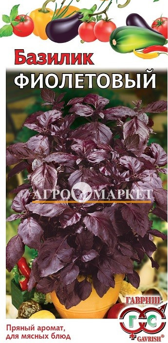 Базилик ФИОЛЕТОВЫЙ Гавриш 