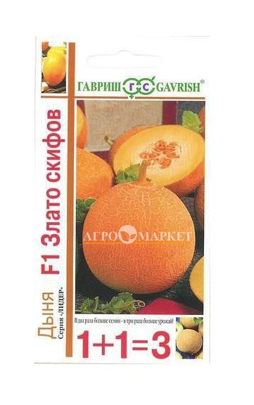 Дыня ЗЛАТО СКИФОВ F1 1+1 Гавриш 