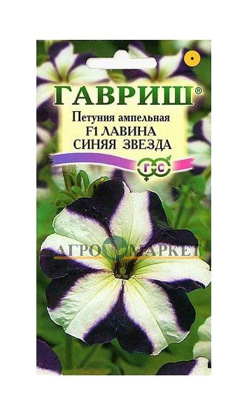 Однолетник Петуния Лавина Синяя Звезда F1 амп. гранул. пробирка Гавриш 