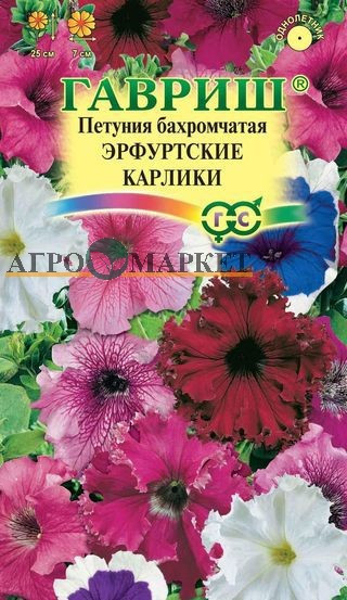 Однолетник Петуния Эрф.карлики бахр. Проб. Гавриш 