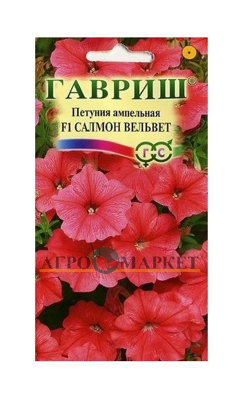 Однолетник Петуния Салмон Вельвет (Сурфиния) амп. Пробирка Гавриш 