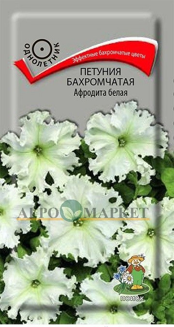 Однолетник Петуния бахромчатая Афродита белая F1 ЦВ Поиск 