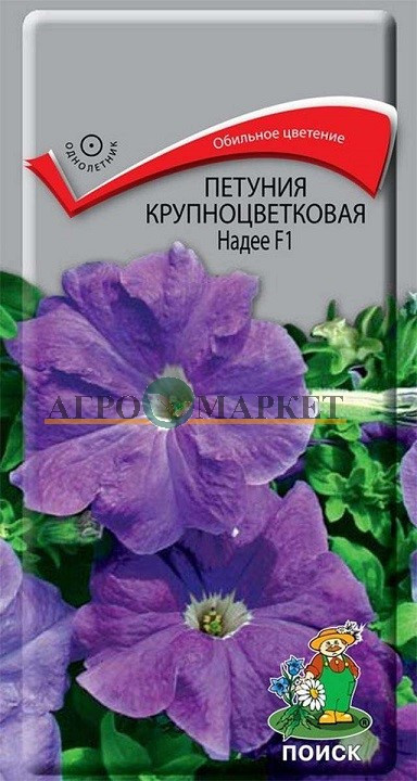 Однолетник Петуния крупноцветковая Надее F1 ЦВ Поиск 
