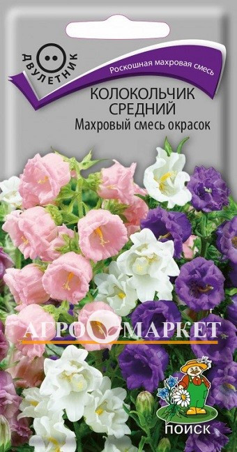 Двулетник Колокольчик средний Махровый смесь Поиск 