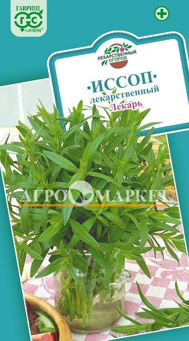 Иссоп ЛЕКАРЬ Гавриш 