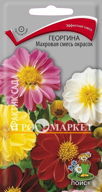 Однолетник Георгина Махровая смесь окрасок ЦВ Поиск 