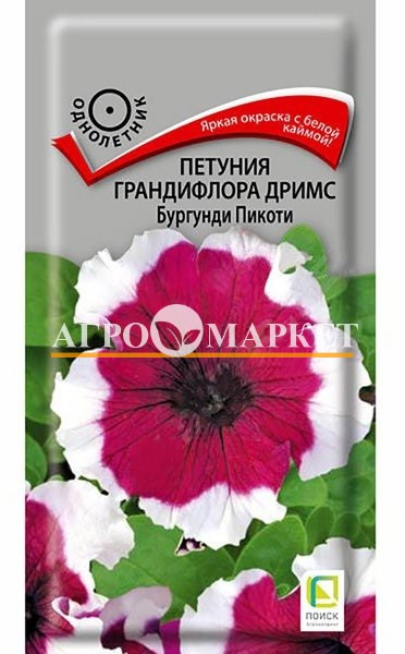 Однолетник Петуния грандифлора Дримс Бургунди Пикоти ЦВ Поиск 
