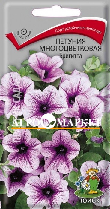 Однолетник Петуния мультифлора Бригитта F1 ЦВ Поиск 