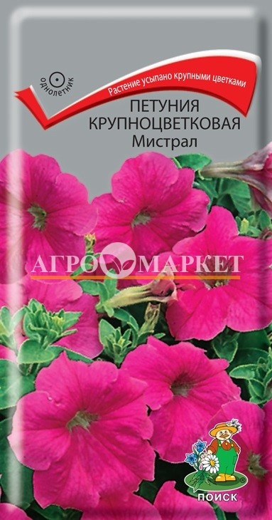 Однолетник Петуния крупноцвет. грандифлора Мистрал F1 ЦВ Поиск 