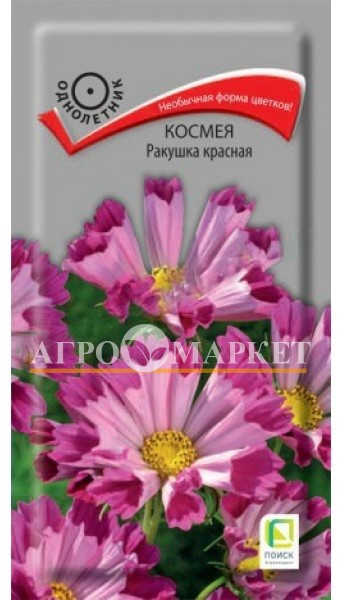 Однолетник Космея Ракушка красная ЦВ Поиск 