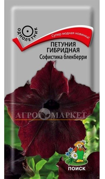 Однолетник Петуния гибридная Софистика Блекберри ЦВ Поиск 