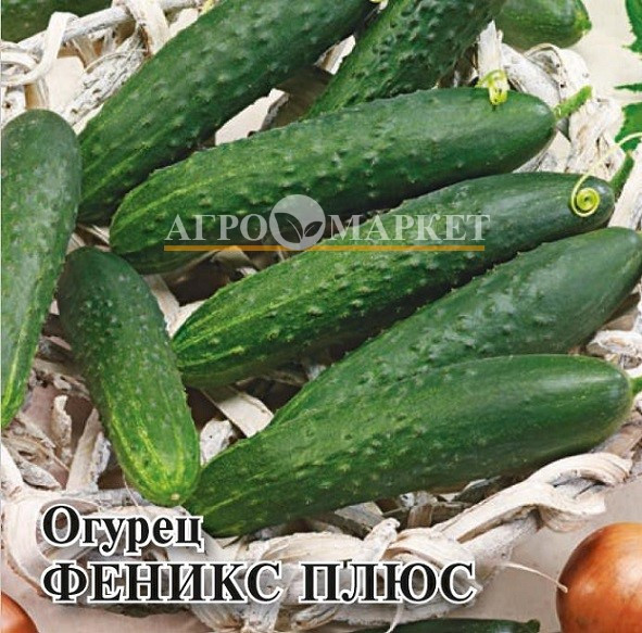 Огурец ФЕНИКС ПЛЮС Гавриш 