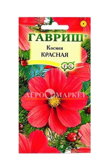 Однолетник Космея Красная  Гавриш 