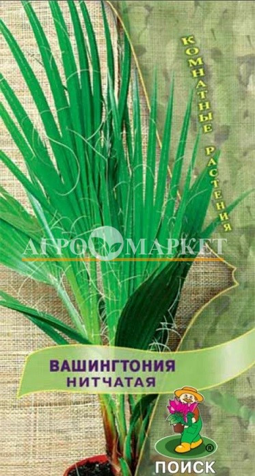 Комнатные Вашингтония (нитеносная) Нитчатая  ЦВ Поиск 