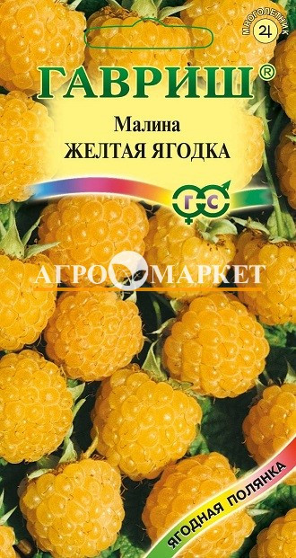 Малина ЖЕЛТАЯ ЯГОДКА Гавриш 