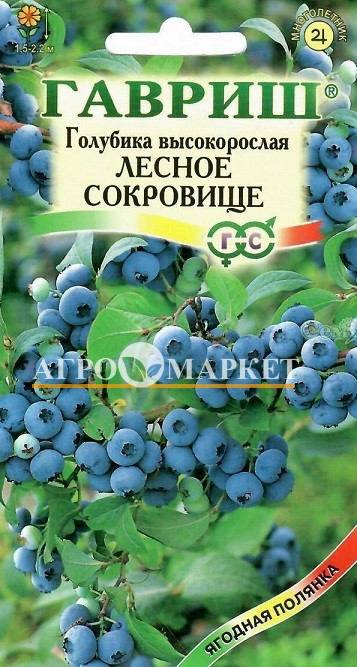Голубика высокорослая Лесное сокровище Гавриш 