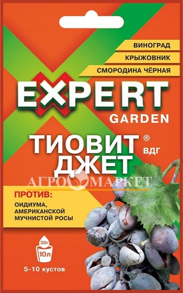 Фунгицид ТИОВИТ ДЖЕТ Expert Garden 