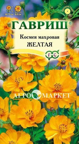 Однолетник Космея Желтая Гавриш 